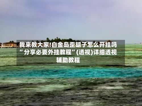 我来教大家!白金岛歪胡子怎么开挂吗”分享必要外挂教程”(透视)详细透视辅助教程-第2张图片