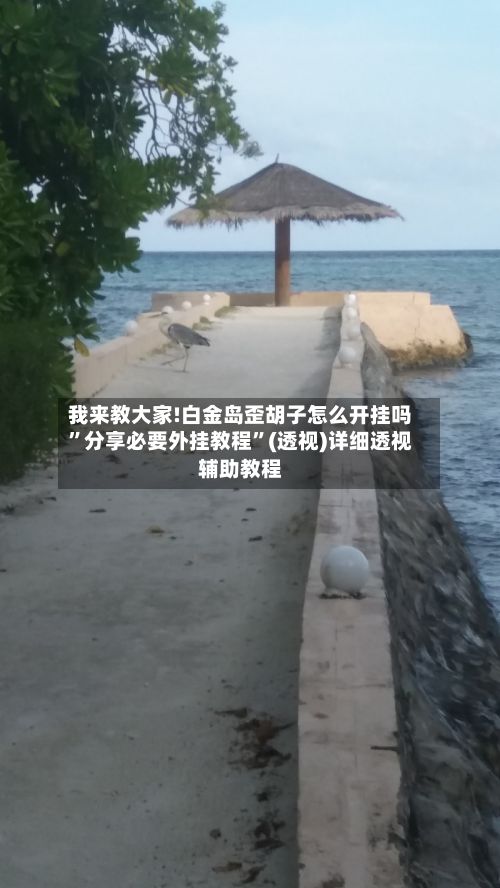 我来教大家!白金岛歪胡子怎么开挂吗	”分享必要外挂教程”(透视)详细透视辅助教程-第3张图片