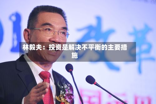 林毅夫：投资是解决不平衡的主要措施-第2张图片