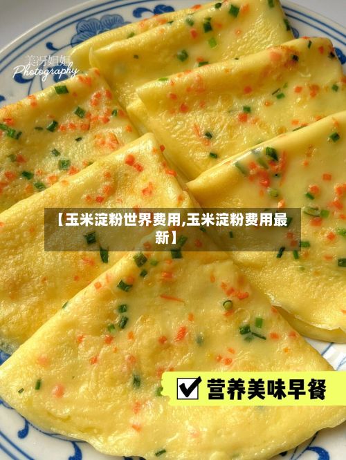 【玉米淀粉世界费用,玉米淀粉费用最新】