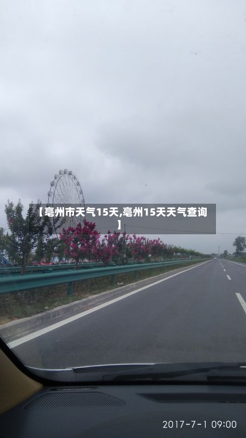 【亳州市天气15天,亳州15天天气查询】