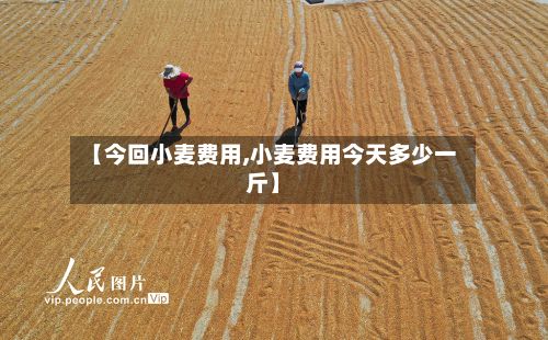【今回小麦费用,小麦费用今天多少一斤】