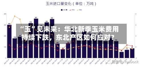 “玉	”见未来：华北新季玉米费用持续下跌，东北产区如何应对？-第1张图片