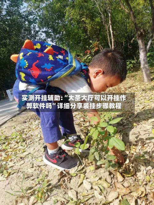 实测开挂辅助:“大圣大厅可以开挂作弊软件吗”详细分享装挂步骤教程