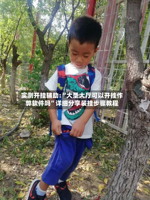实测开挂辅助:“大圣大厅可以开挂作弊软件吗	”详细分享装挂步骤教程-第2张图片
