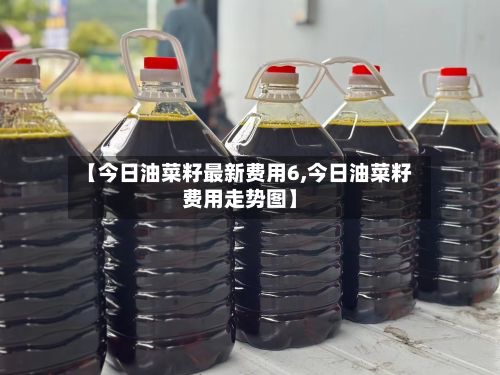 【今日油菜籽最新费用6,今日油菜籽费用走势图】