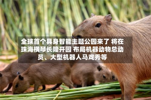 全球首个具身智能主题公园来了 将在珠海横琴长隆开园 布局机器动物总动员	、大型机器人马戏秀等-第2张图片