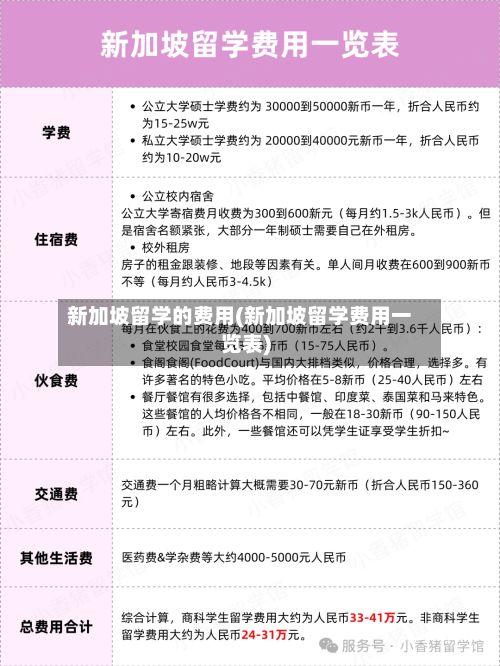 新加坡留学的费用(新加坡留学费用一览表)-第2张图片