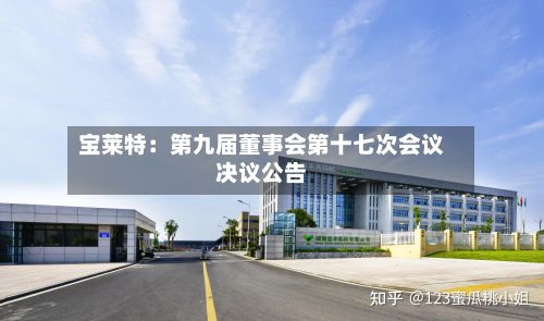 宝莱特：第九届董事会第十七次会议决议公告