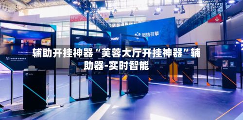 辅助开挂神器“芙蓉大厅开挂神器”辅助器-实时智能-第3张图片