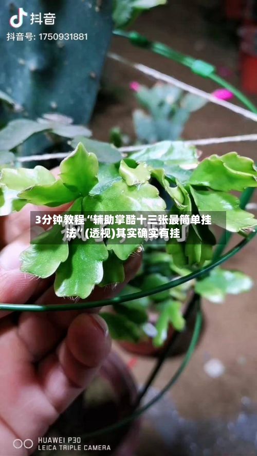 3分钟教程“辅助掌酷十三张最简单挂法”(透视)其实确实有挂-第3张图片