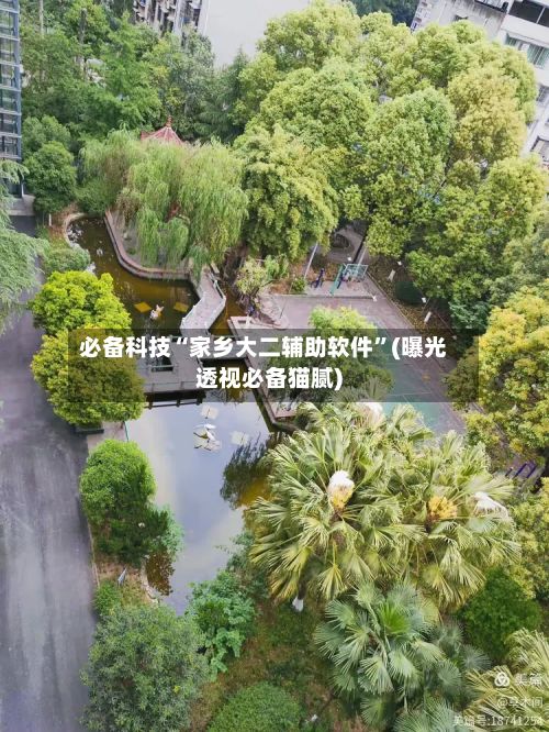 必备科技“家乡大二辅助软件	”(曝光透视必备猫腻)-第2张图片