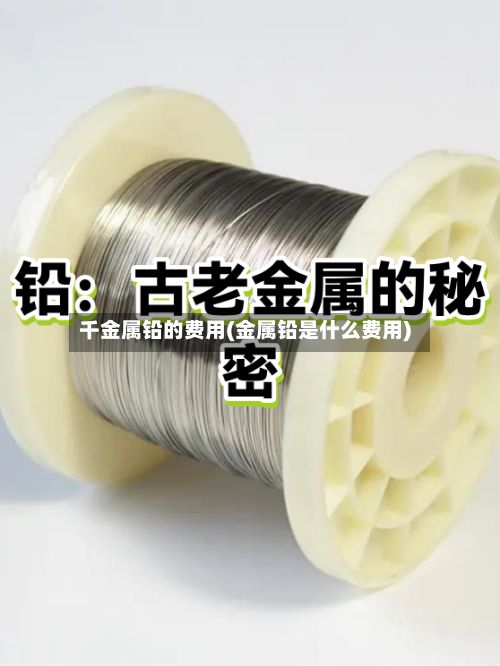 千金属铅的费用(金属铅是什么费用)