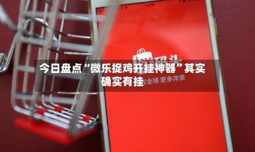 今日盘点“微乐捉鸡开挂神器”其实确实有挂-第3张图片