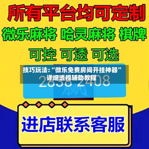 技巧玩法:“微乐免费房间开挂神器”详细透视辅助教程-第2张图片