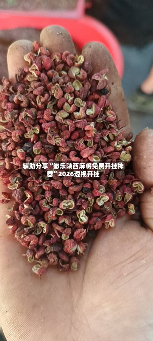 辅助分享“微乐陕西麻将免费开挂神器”2026透视开挂-第2张图片