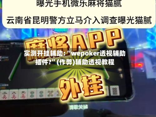 实测开挂辅助:“wepoker透视辅助插件?”(作弊)辅助透视教程-第3张图片