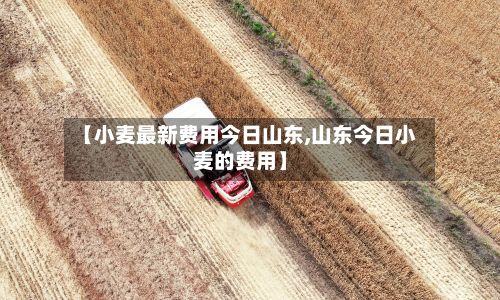 【小麦最新费用今日山东,山东今日小麦的费用】