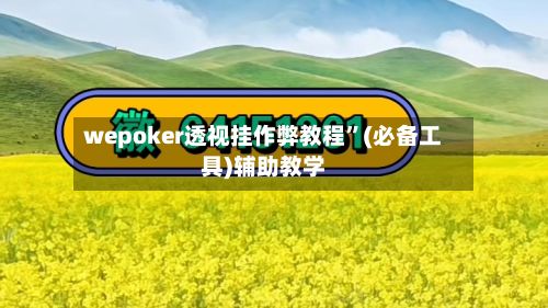 wepoker透视挂作弊教程”(必备工具)辅助教学-第3张图片