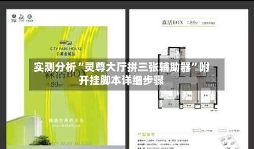 实测分析“灵尊大厅拼三张辅助器”附开挂脚本详细步骤