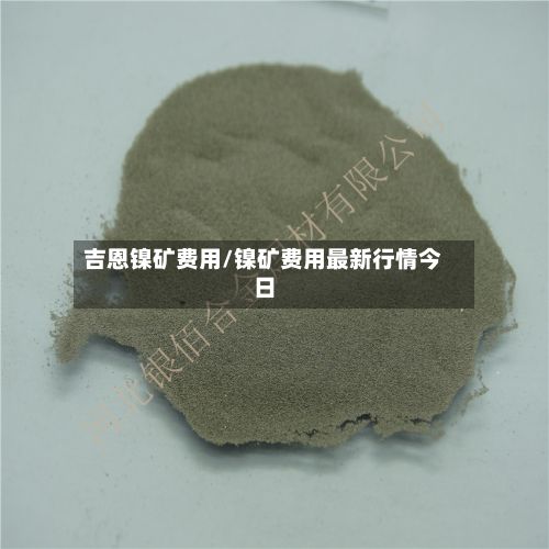 吉恩镍矿费用/镍矿费用最新行情今日