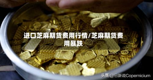 进口芝麻期货费用行情/芝麻期货费用暴跌