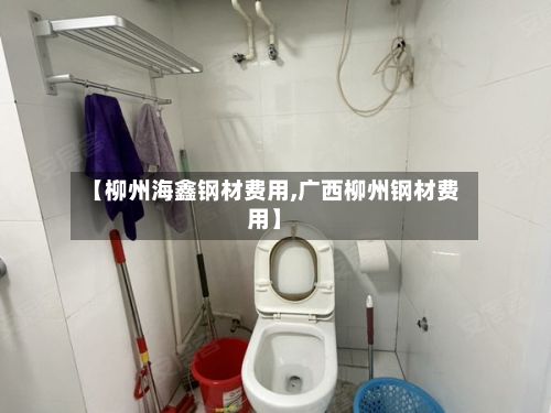 【柳州海鑫钢材费用,广西柳州钢材费用】-第2张图片