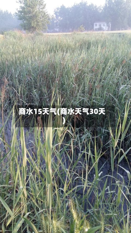 商水15天气(商水天气30天)-第2张图片