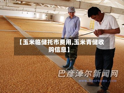 【玉米临储托市费用,玉米青储收购信息】-第2张图片