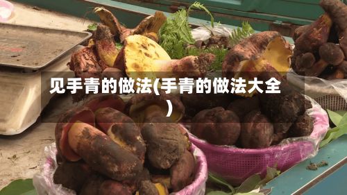 见手青的做法(手青的做法大全)-第2张图片