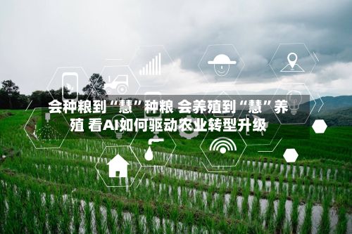 会种粮到“慧”种粮 会养殖到“慧”养殖 看AI如何驱动农业转型升级-第2张图片