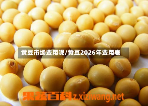 黄豆市场费用呢/黄豆2026年费用表