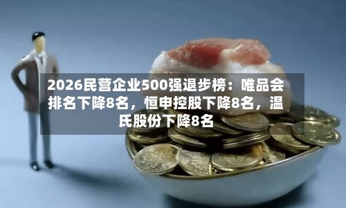 2026民营企业500强退步榜：唯品会排名下降8名，恒申控股下降8名	，温氏股份下降8名-第2张图片