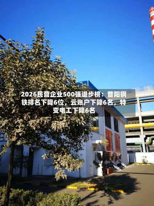 2026民营企业500强退步榜：普阳钢铁排名下降6位，云账户下降6名	，特变电工下降6名-第2张图片
