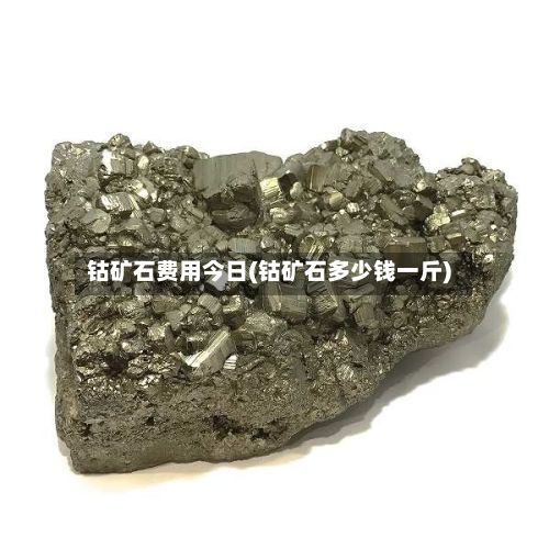 钴矿石费用今日(钴矿石多少钱一斤)-第2张图片
