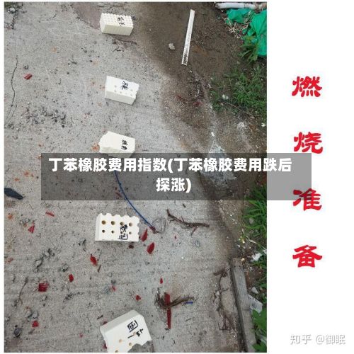 丁苯橡胶费用指数(丁苯橡胶费用跌后探涨)-第2张图片