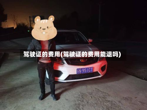 驾驶证的费用(驾驶证的费用能退吗)-第2张图片