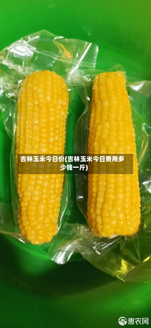 吉林玉米今日价(吉林玉米今日费用多少钱一斤)