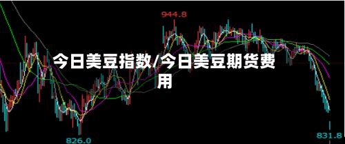 今日美豆指数/今日美豆期货费用-第3张图片