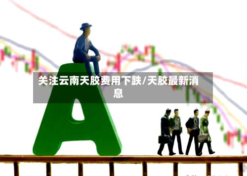 关注云南天胶费用下跌/天胶最新消息-第3张图片