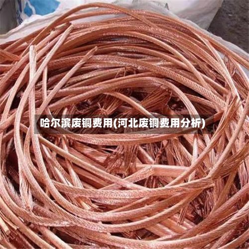 哈尔滨废铜费用(河北废铜费用分析)