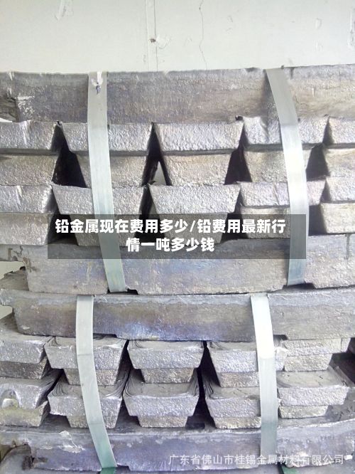 铅金属现在费用多少/铅费用最新行情一吨多少钱