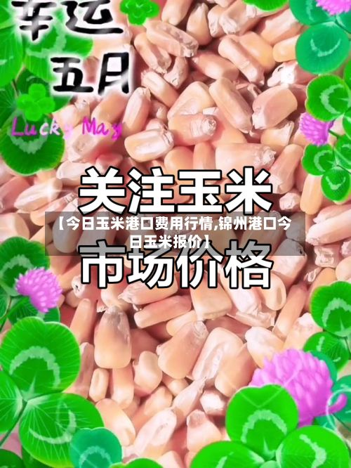 【今日玉米港口费用行情,锦州港口今日玉米报价】