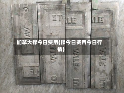 加拿大镍今日费用(镍今日费用今日行情)-第2张图片