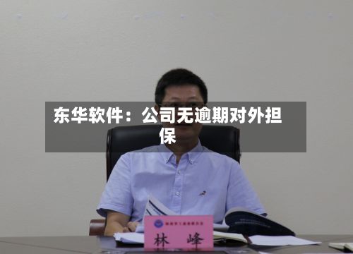 东华软件：公司无逾期对外担保-第2张图片