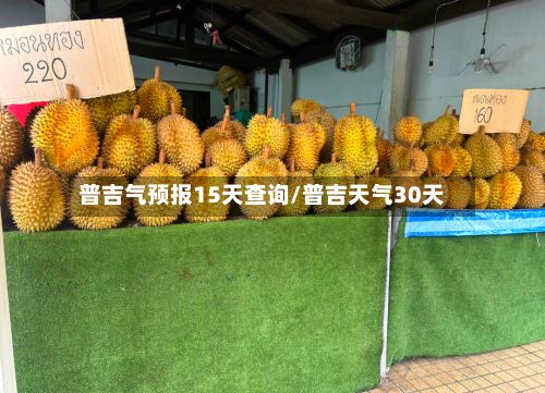 普吉气预报15天查询/普吉天气30天-第2张图片