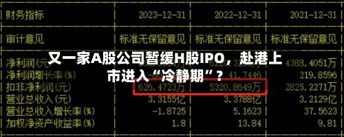 又一家A股公司暂缓H股IPO，赴港上市进入“冷静期	”？-第2张图片