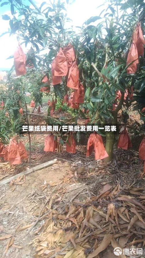 芒果纸袋费用/芒果批发费用一览表-第2张图片