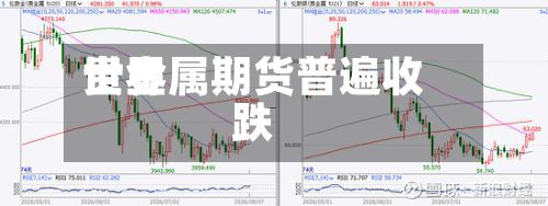 世界
贵金属期货普遍收跌