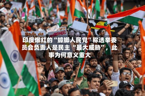 印度爆红的“蟑螂人民党”称选举委员会负责人是民主 “最大威胁”	，此事为何意义重大-第3张图片